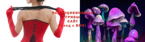 экстази Приозерск