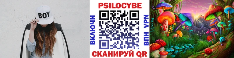 Галлюциногенные грибы мицелий  Славянск-на-Кубани 