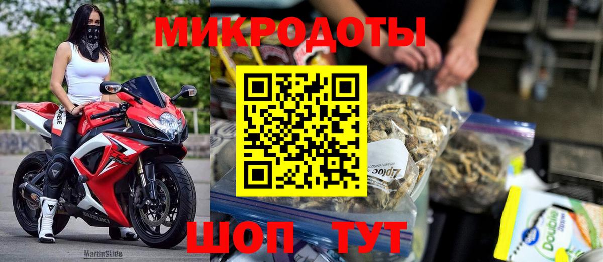 Галлюциногенные грибы Psilocybine cubensis Славянск-на-Кубани