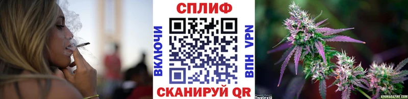 где купить   Славянск-на-Кубани  Конопля OG Kush 
